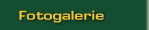 Fotogalerie